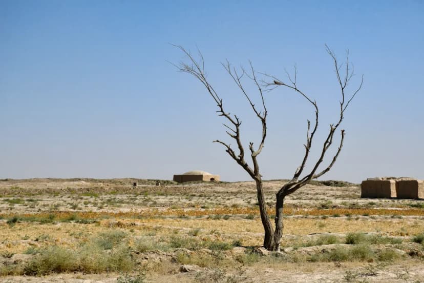 Human Civilization May Have Left Stable Climate Era Due to Climate Change