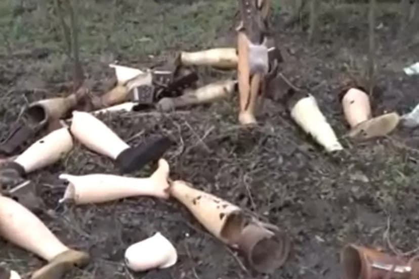 Dozens of Prosthetic Legs Found Scattered in Hungary