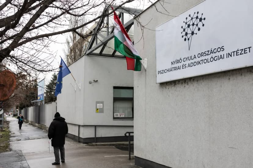 Independent Committee to Investigate Budapest Psychiatric Care Crisis