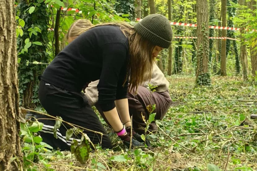 Hungary Holds National Tree Planting Day, Aiming for 100,000 Trees