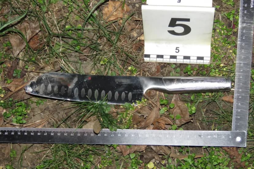 Man Stabs Two Women in Nyíregyháza, Hungary