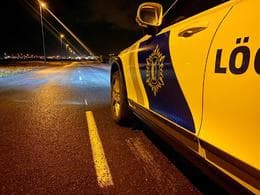 Icelandic Ombudsman Investigates Delays in Asylum Case Processing