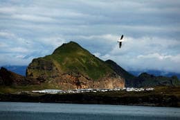 Proposal to Not Contest Elections for Fyrir Heimaey in Vestmannaeyjar