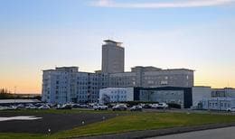 Icelandic Government Grants 25 Million ISK to National Hospital for Former Foster Children Support