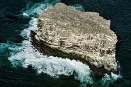 Small Earthquake Swarm Detected South of Eldey, Iceland