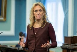 Icelandic Foreign Minister Discusses EU Pros and Cons