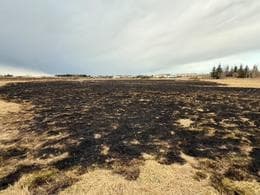 Wildfire Scorches Area in Norðlingaholt, Iceland