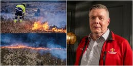 We could have contributed more to this project