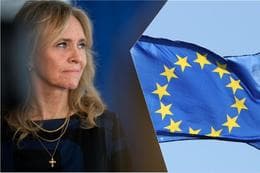 Icelandic Foreign Minister on EU Referendum: 'Speculation is one thing, facts another'