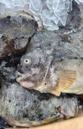 Constitutional Violation Alleged in Icelandic Capelin Fishing Bill