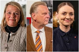 Social Democratic Alliance Emphasizes Other Issues Amid Grey Seal Controversy