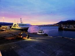 Abundant Fish Catches in Iceland Attributed to Capelin