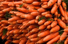 Collapse of Major Carrot Grower Raises Concerns for Irish Vegetable Farms