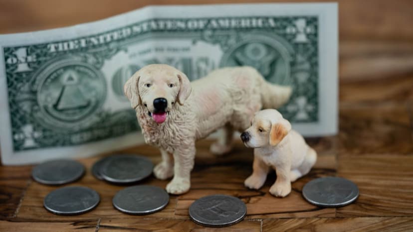 Financial Preparation for Pet Ownership