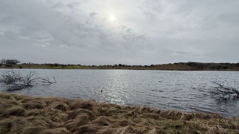 Komende week wisselvallig weer, maar woensdag voelt het als lente