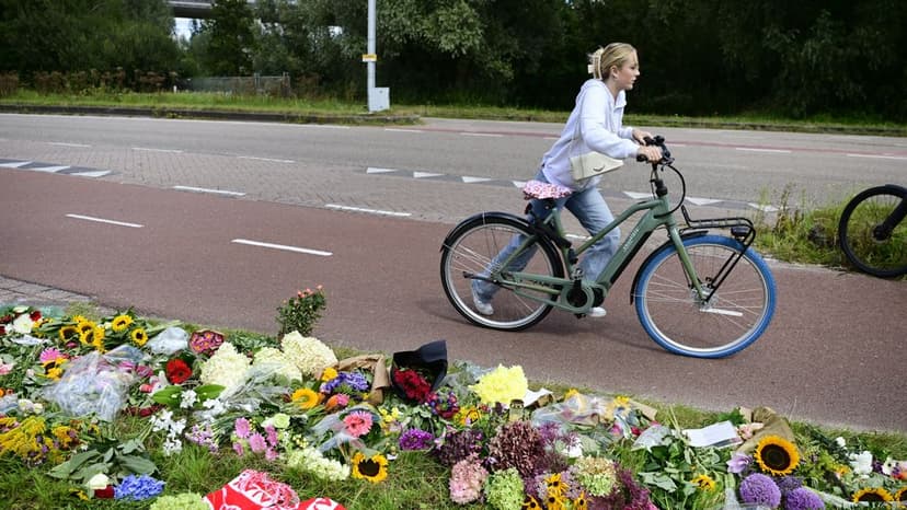 Police officers unnecessarily accessed Lisa's case file