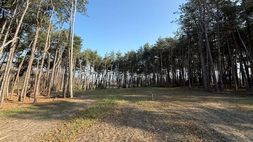 'Grootste drugsput van Europa' in Brabant is na vijf jaar bijna weer schoon