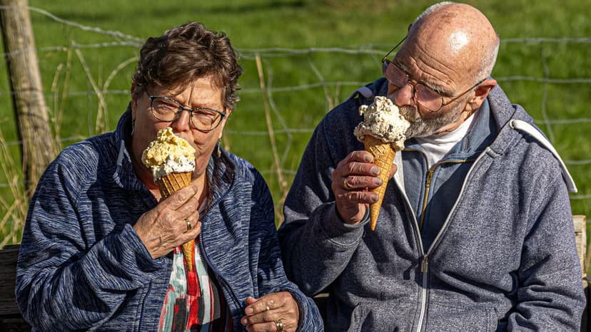 Saharan Dust to Affect Spring Weather in the Netherlands