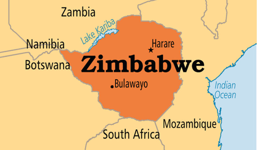 Zimbabwe bans exports of all raw minerals