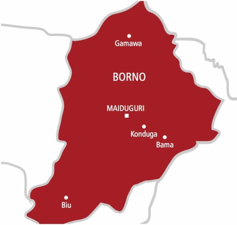 Borno Attacks: Tinubu must act on security emergency – Ndume