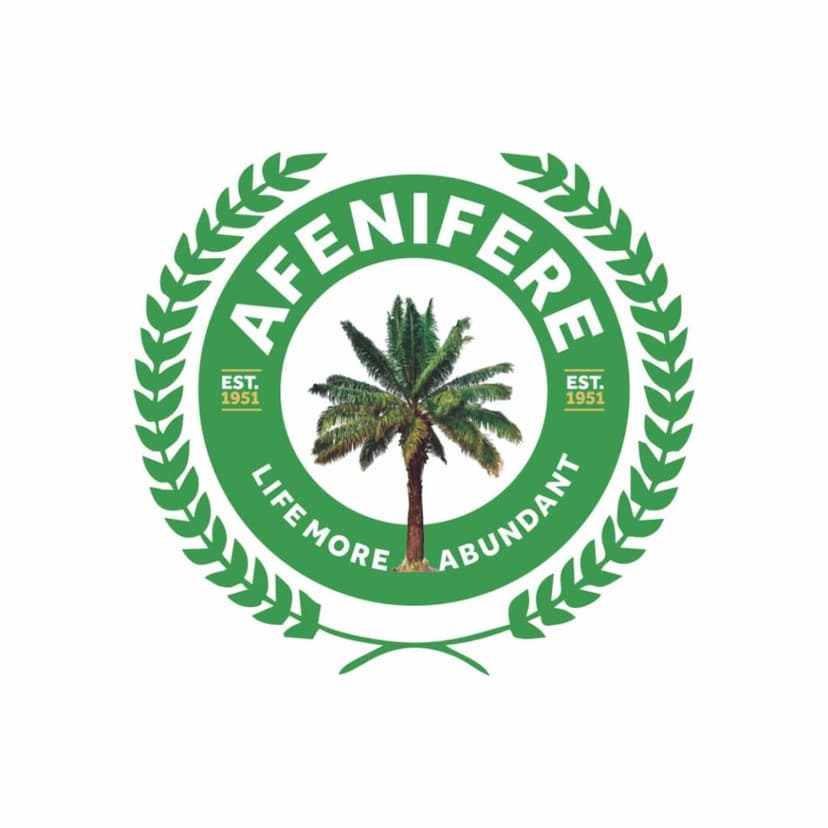 Afenifere backs Southern rotational Presidency for 2027