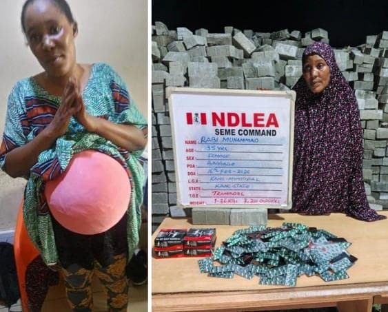NDLEA Foils Drug Trafficking Attempts, Nabs Fake Pregnancy Drug Trafficker