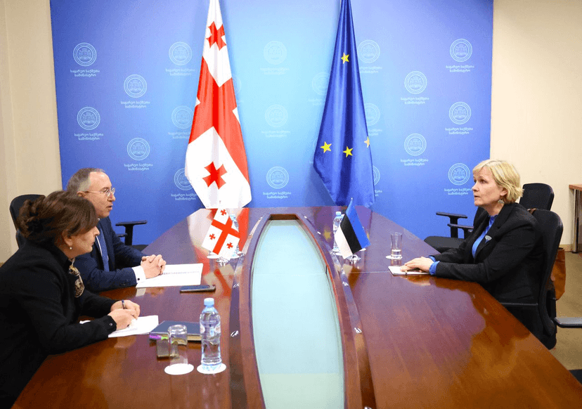 Georgian Foreign Ministry Summons Estonian Ambassador Over University Support Post