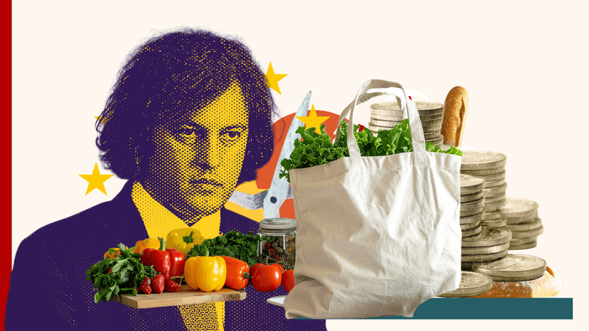 High Food Prices in Georgia Attributed to Dishonest Practices