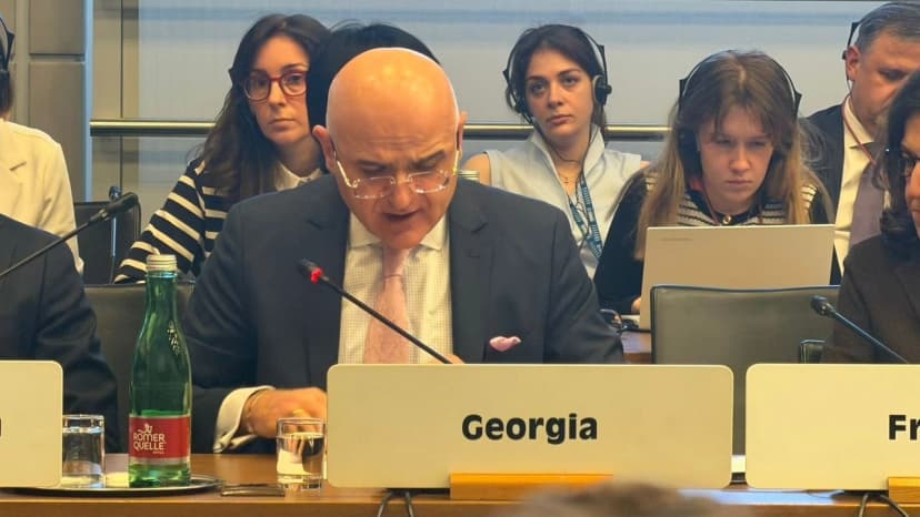 Tbilisi ‘Vigorously Rejects’ OSCE Findings as Member States Call to Fulfill Recommendations