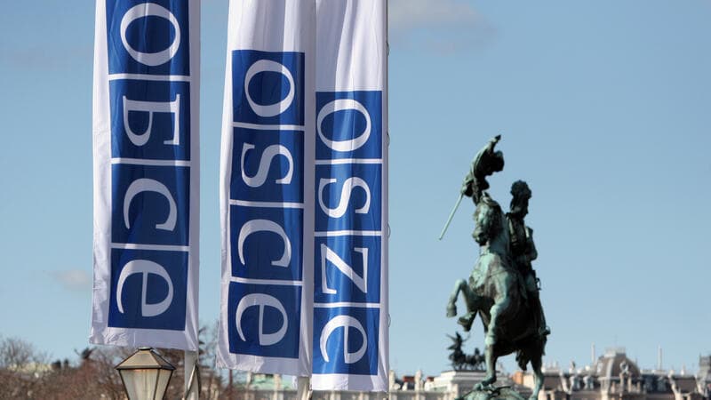 OSCE Moscow Mechanism report notes 'marked democratic backsliding' in Georgia
