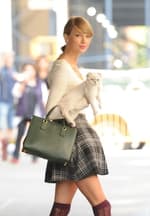 Porque una mascota no es un bolso de lujo: el gato de Taylor Swift ahora es ilegal (al menos en los Países Bajos)