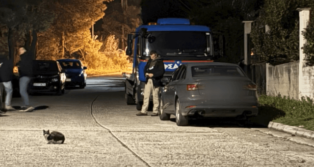 Three arrests of Turks for the shootings in Nea Makri