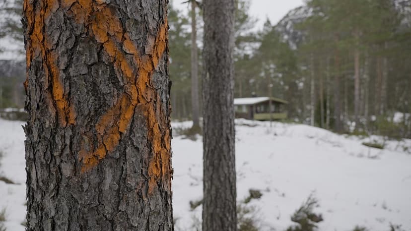 Norwegian Data Center Project Faces Legal Challenges Over Unnotified Neighbors