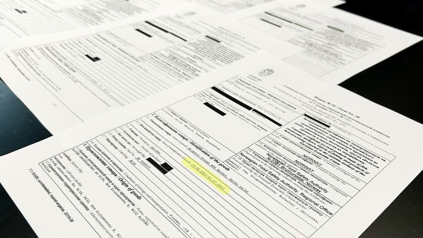 Norwegian Salmon Company Accused of Export Irregularities