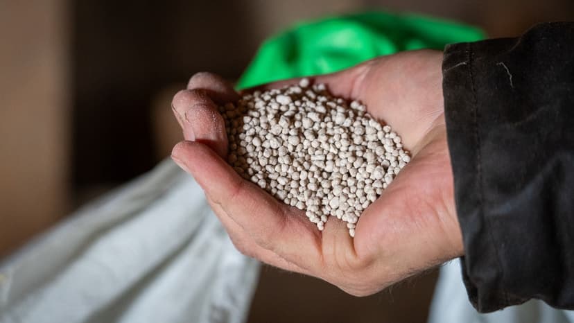 War Could Lead to Higher Fertilizer Prices: – Serious for the World's Food Production
