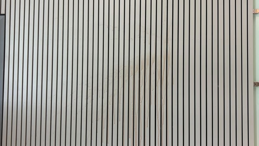 Teen throws chocolate milk at judge during murder conspiracy trial in Norway