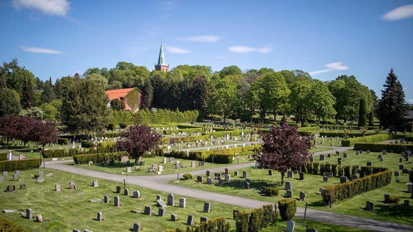 Teenager convicted of raping underage boys in Oslo