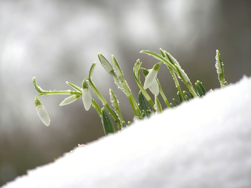 Early March Weather Records in Romania