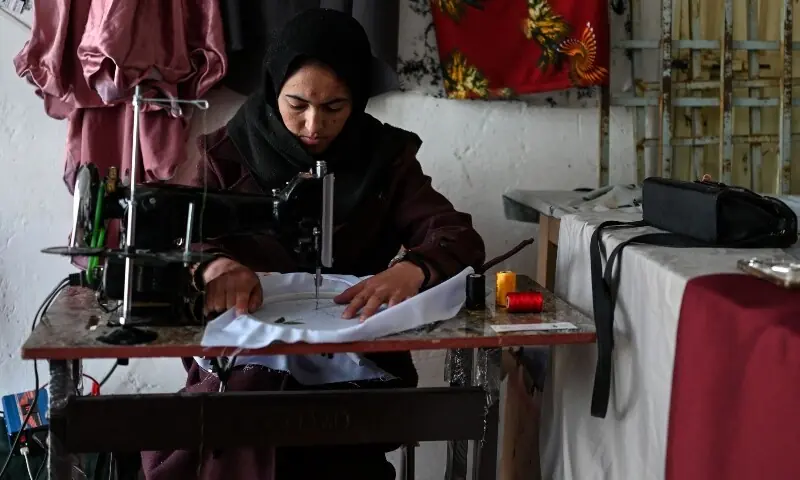 Afghan Woman's Boutique Brightens Bamiyan Amid Job Bans for Women
