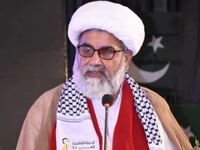 Allama Raja Abbas Urges Improved Ties with Imran Khan, Promises No Government Toppling