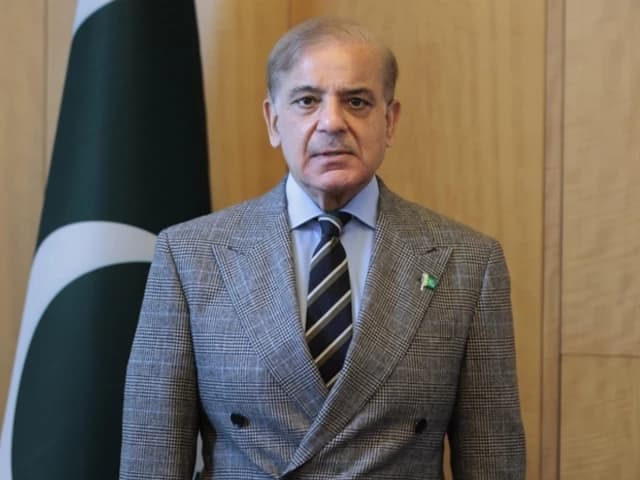 PM Shehbaz mourns deaths of two Pakistanis in Dubai