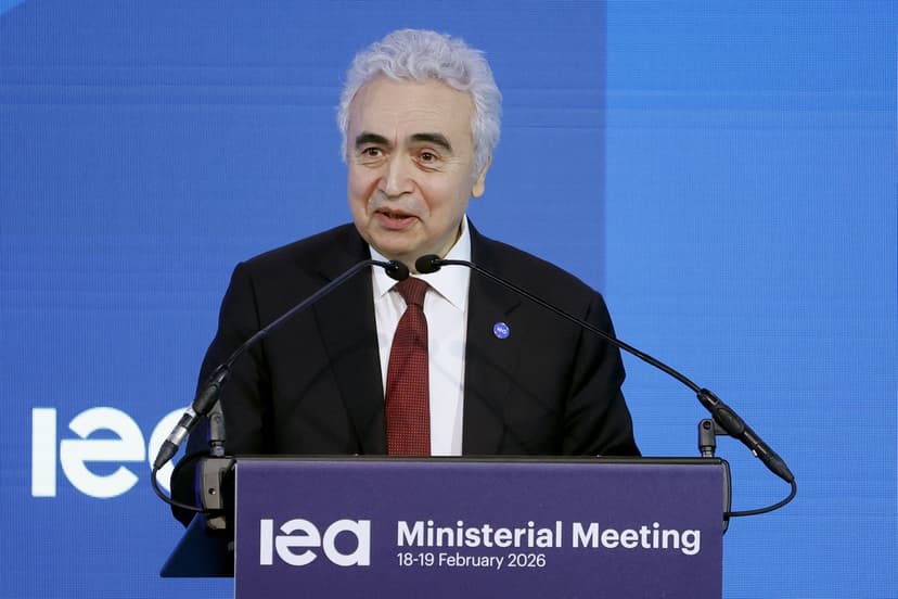 Fatih Birol: Turkish economist shaping global energy politics