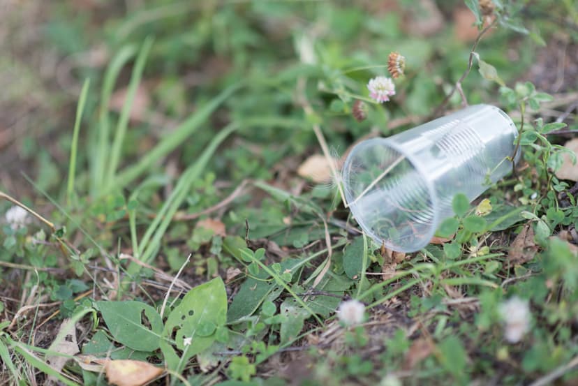 Türkiye moves to ban single-use plastics to reduce pollution