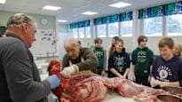 Finnish School Teaches Butchering Whole Deer in Home Economics
