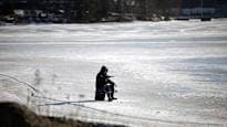 Spring Arrives in Finland as Temperatures Exceed 10 Degrees Celsius