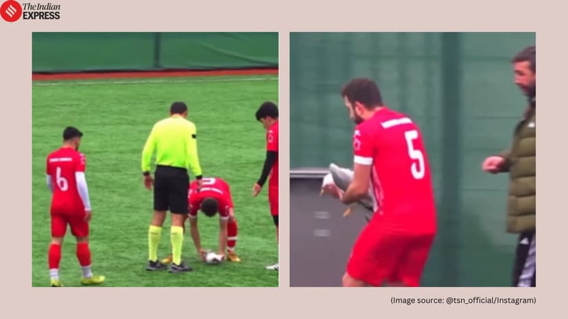 Footballer performs CPR on injured seagull mid-match in Istanbul, video goes viral