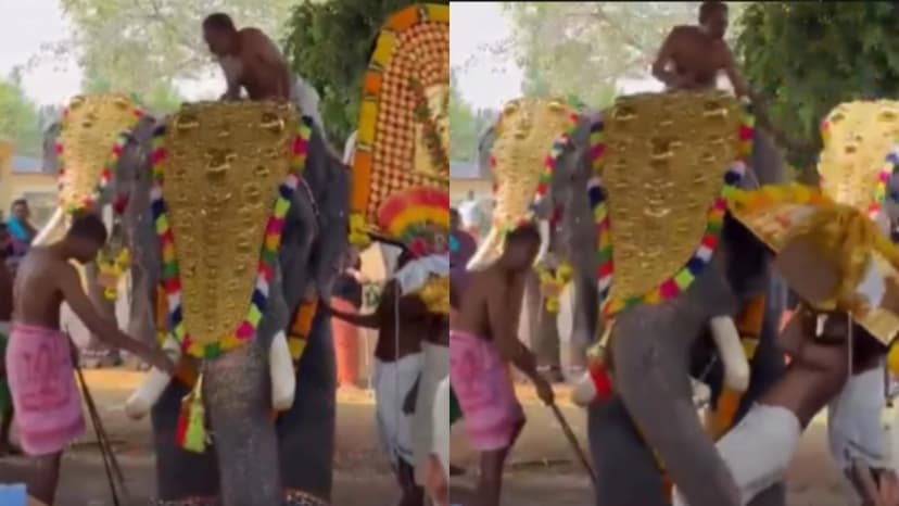 Elephant flings 26-year-old into the air at Kerala temple festival; horrifying video goes viral