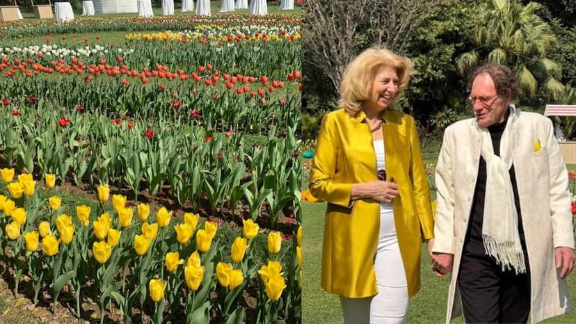 Netherlands Seeks to Develop New Tulip Variety Named After Indian Icon