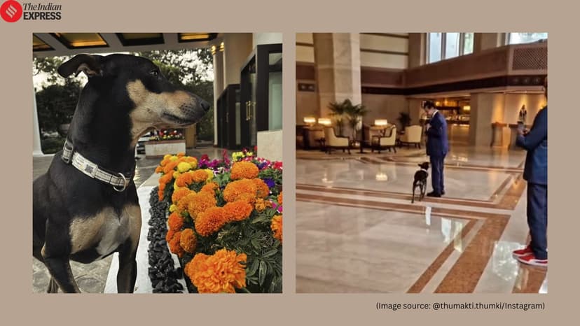 Inside the ‘Thumki estate’: how a four-legged resident is ruling Kolkata’s Taj Bengal hotel