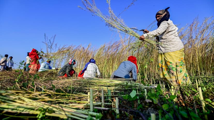Indian Farmers Await 2017 Loan Waiver Benefits